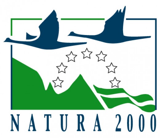 Markolóval tarolták le a Natura 2000-es, védett partszakaszt a természetkárosítók