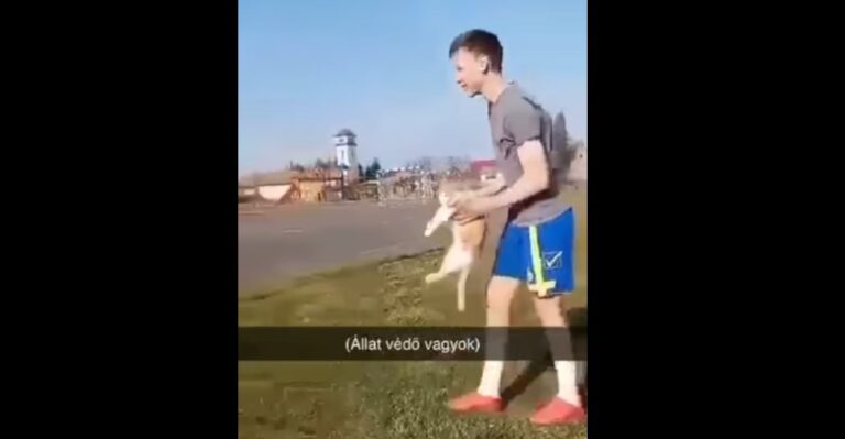 Állatkínzás: macskával játszottak kosárlabdát a szabolcsi faluban – frissítve a törölt videóval