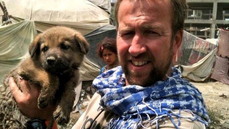 Nem tud kijutni Kabulból a brit férfi, aki összesen 173 kutyát és macskát menekítene ki