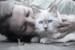 5 jó érv, miért fogadjunk örökbe macskát menhelyről