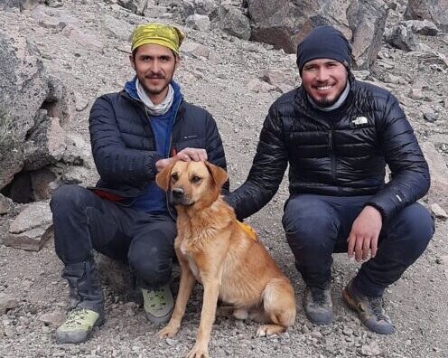 Bravúrosan mentették meg az 5600 méter magasan rekedt kutya életét
