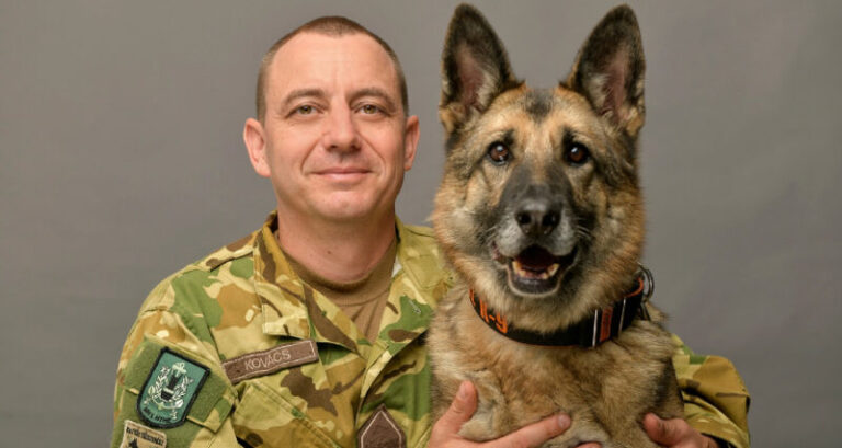Mandy, a tűzszerész kutya Afganisztánt is megjárta – most segítségre van szüksége