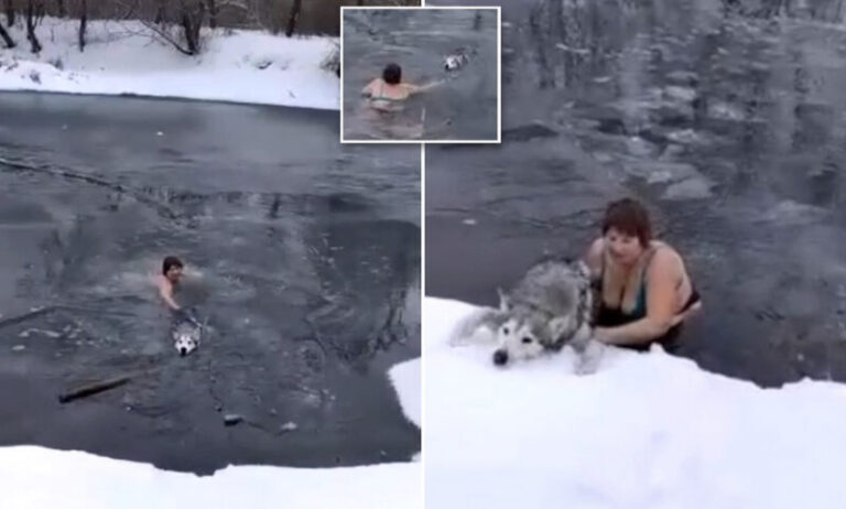 A jeges vízből mentette ki a bajba jutott kutyát a 65 éves hős nő – VIDEÓ