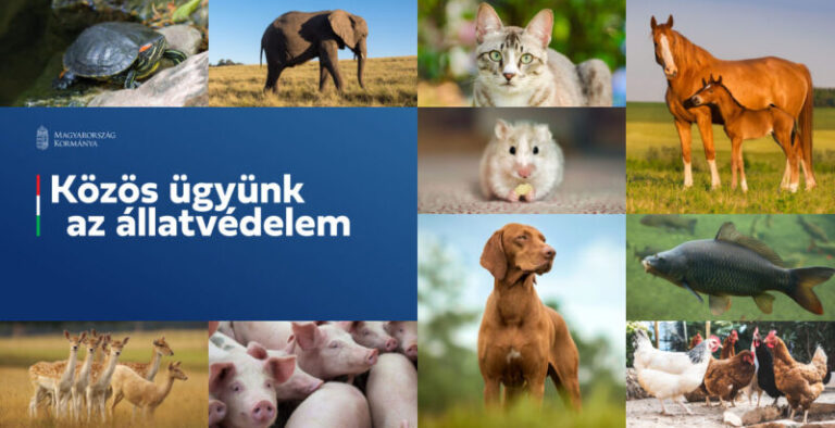 A NAV az állatvédelmi kódex 150. aláíró szervezete