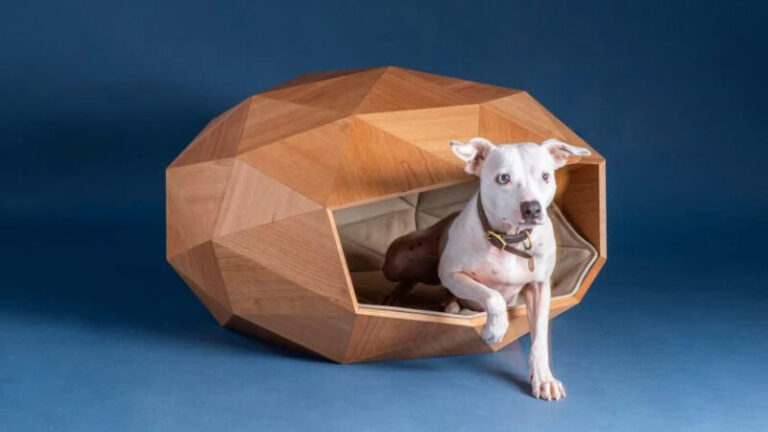 Ennél stílusosabb kutyaházat dizájner még nem tervezett