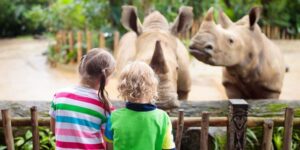 Fantasztikus gyereknap: Hihetetlen programokkal vár a Debreceni Állatkert