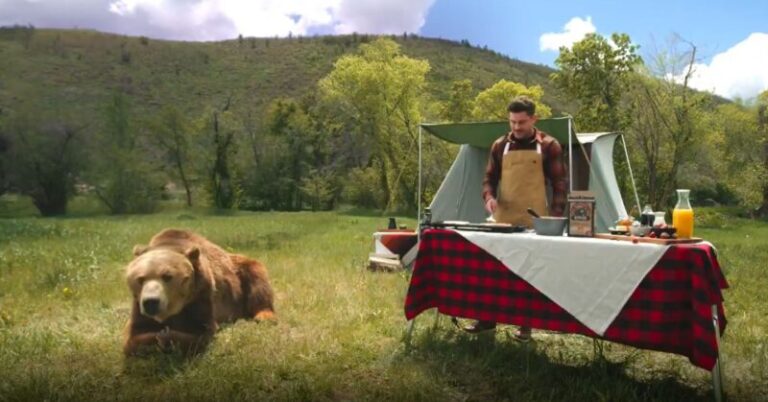 Betámadták az állatvédők Zac Efront, mert egy medvével szerepel egy reklámban