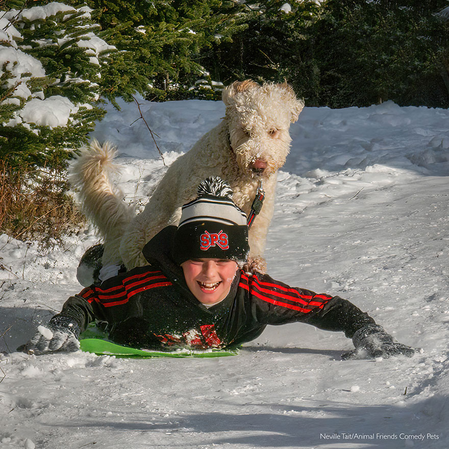 "Amíg Kanadában voltunk karácsonykor, elég nagy hó esett. Unokánk' Bowen kutyája, Oscar imádott a hóban szaladgálni, és amikor Bowen felugrott egy műanyagdarabra, hogy lecsússzon a dombon, Oscar utána ugrott, és a hátára ugrott."