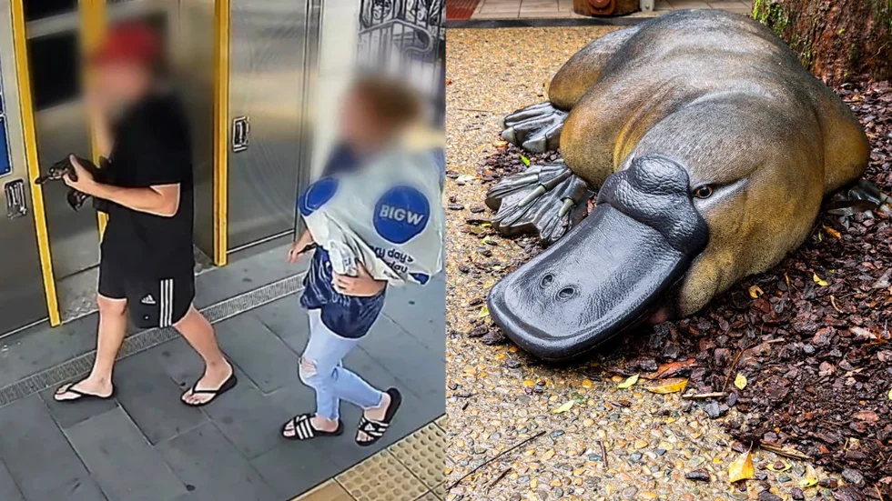 Australian man who stole a platypus mammal has been arrested – Hungarian Animal Protection